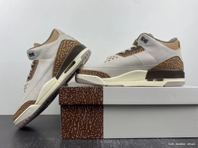 Reps LUCY Palomino 3 Air CT8532-102 Jordan 0816